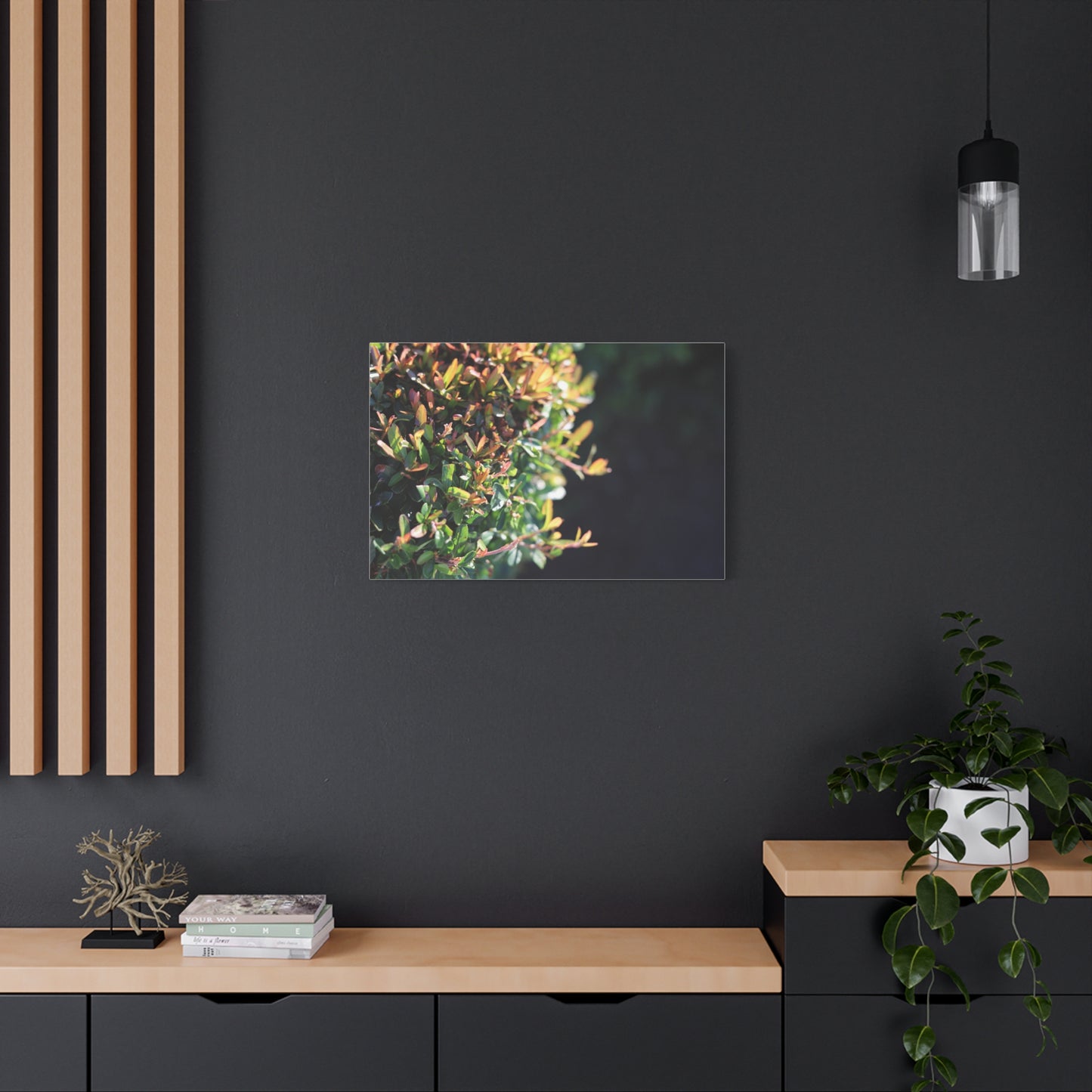 Hidden in green — Sunlit Greenery Photograph