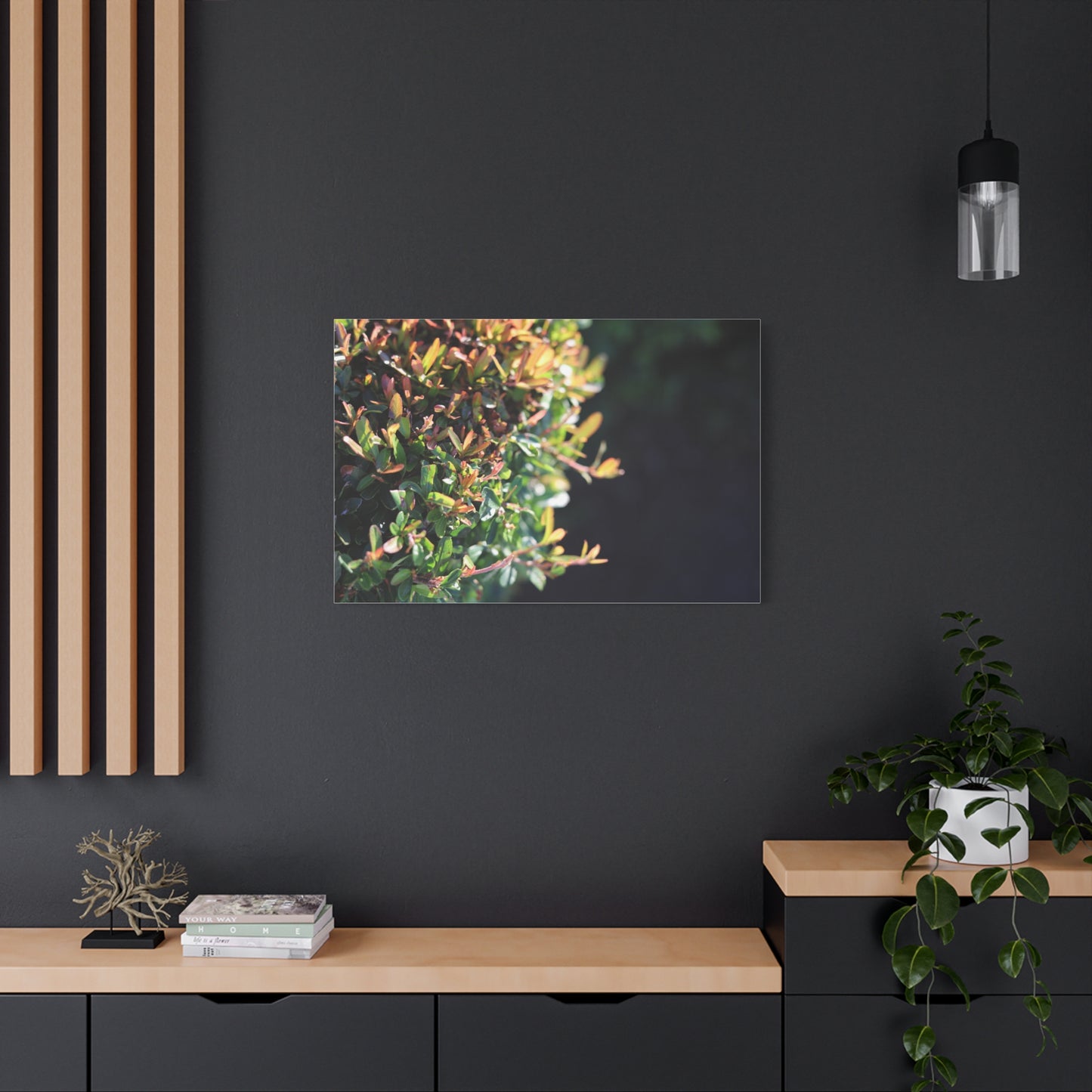 Hidden in green — Sunlit Greenery Photograph
