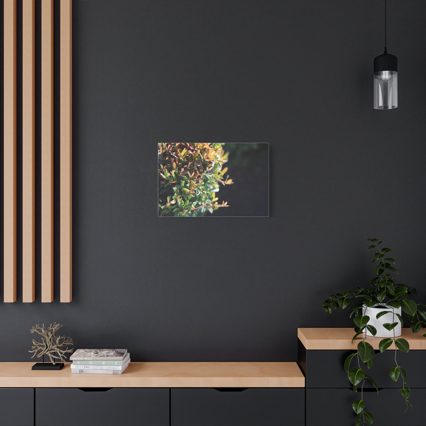 Hidden in green — Sunlit Greenery Photograph