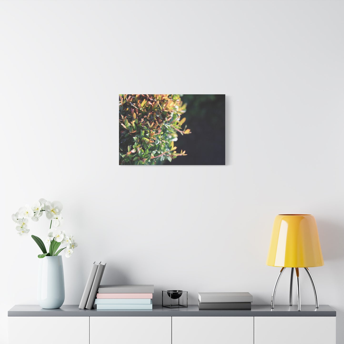 Hidden in green — Sunlit Greenery Photograph