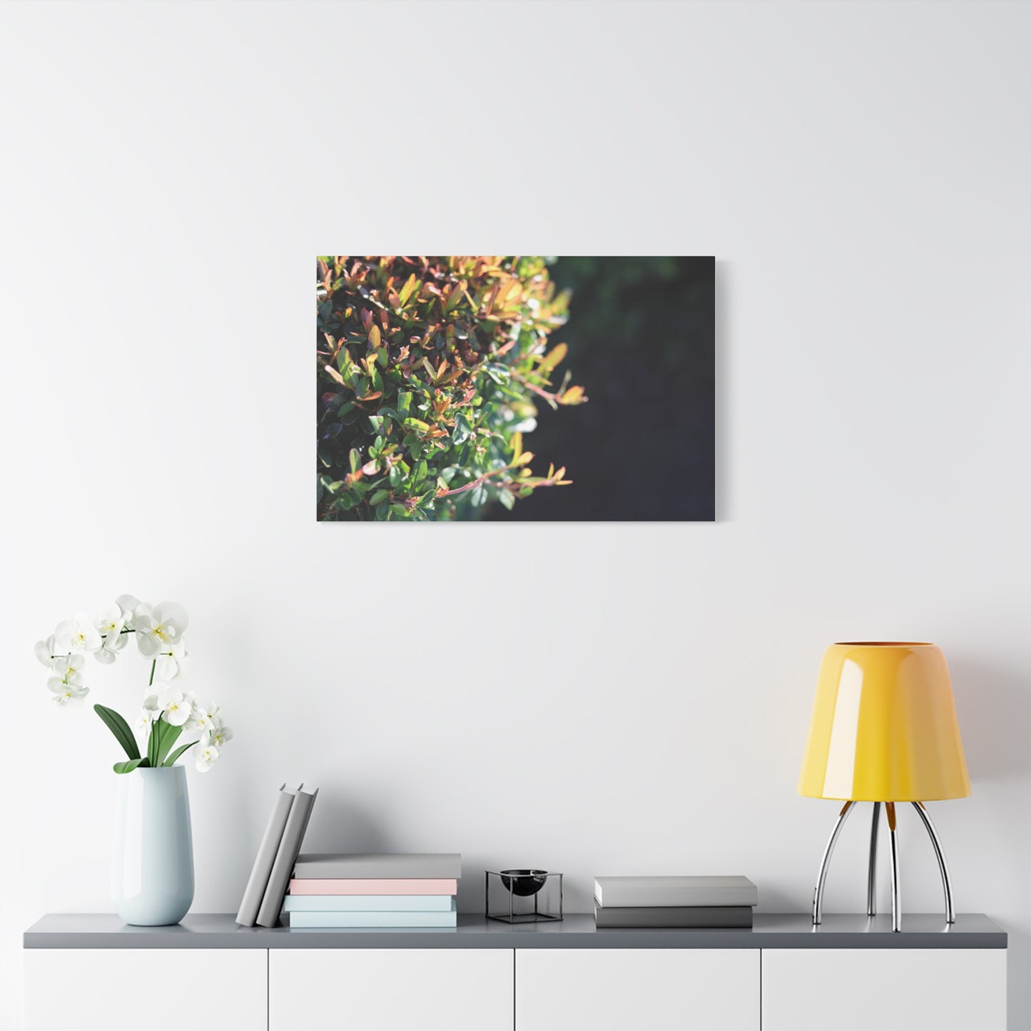 Hidden in green — Sunlit Greenery Photograph
