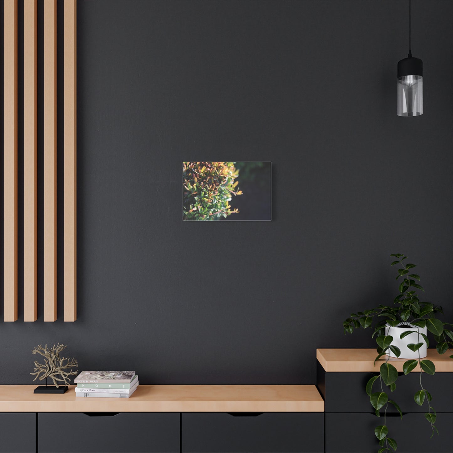 Hidden in green — Sunlit Greenery Photograph