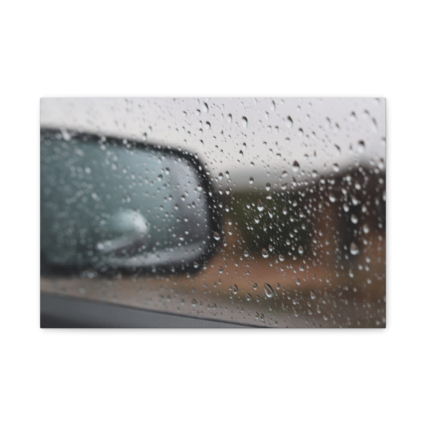 Blurred World Beyond — Moody Weather Photography Wall Art
