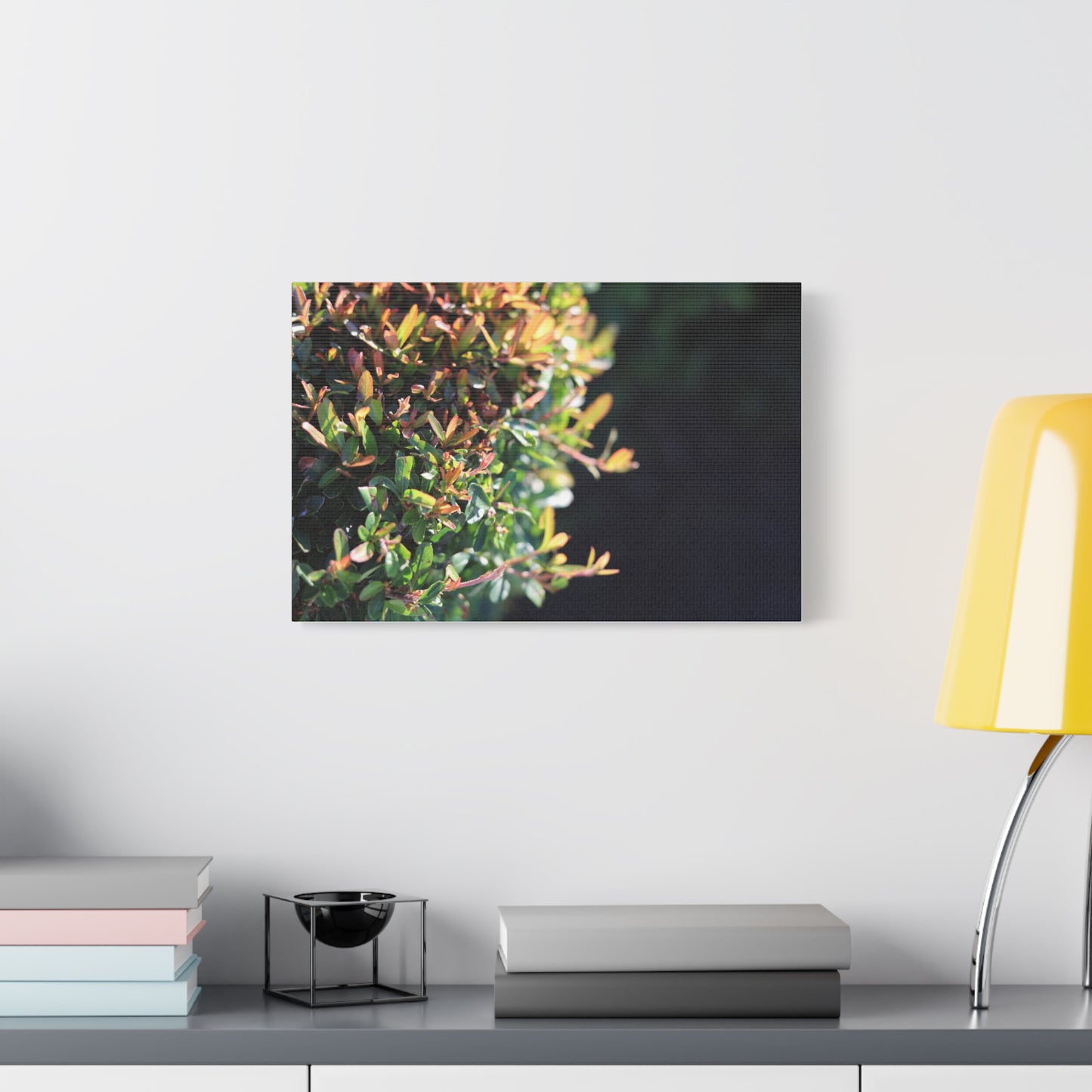 Hidden in green — Sunlit Greenery Photograph